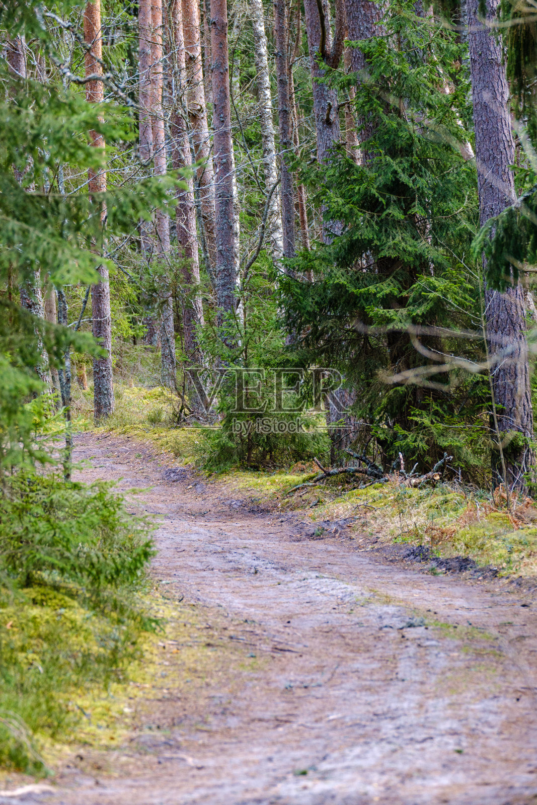 在夏天的乡村土路砾石透视照片摄影图片