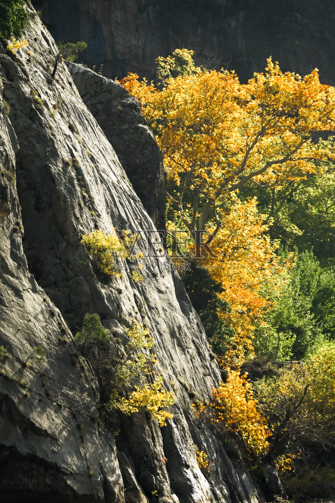 秋天的色彩和山景照片摄影图片