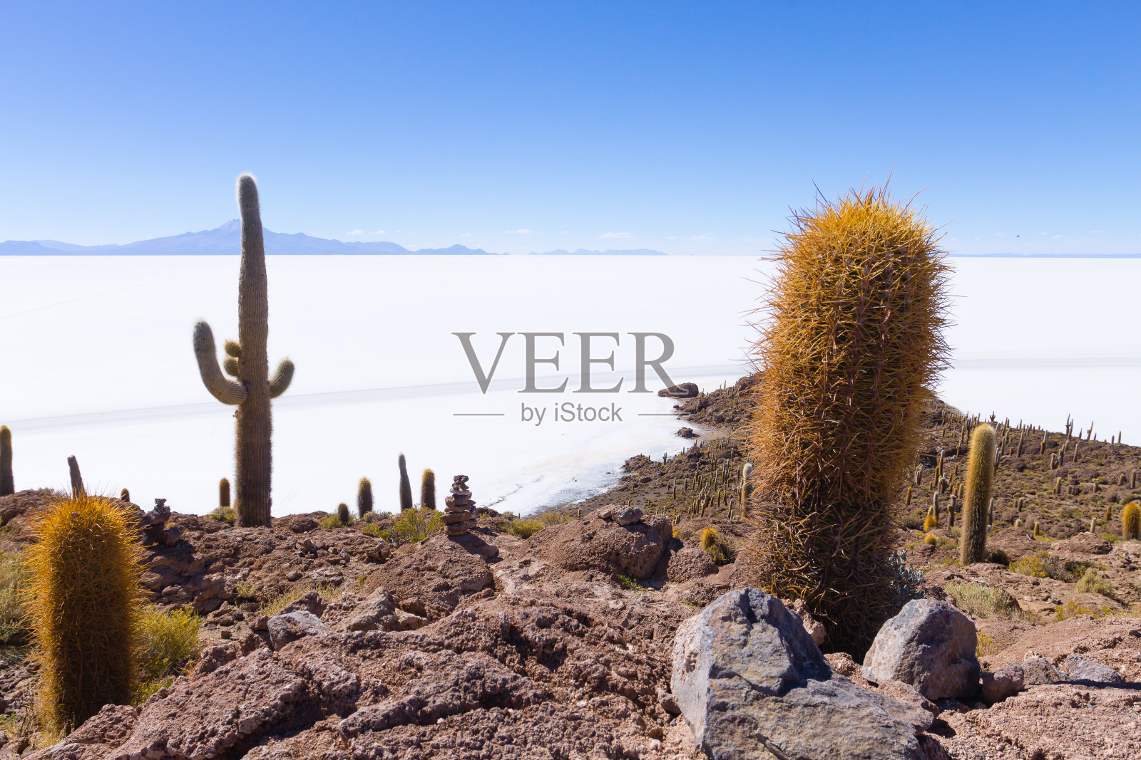 乌尤尼Salar de Uyuni从印加华西岛观看照片摄影图片