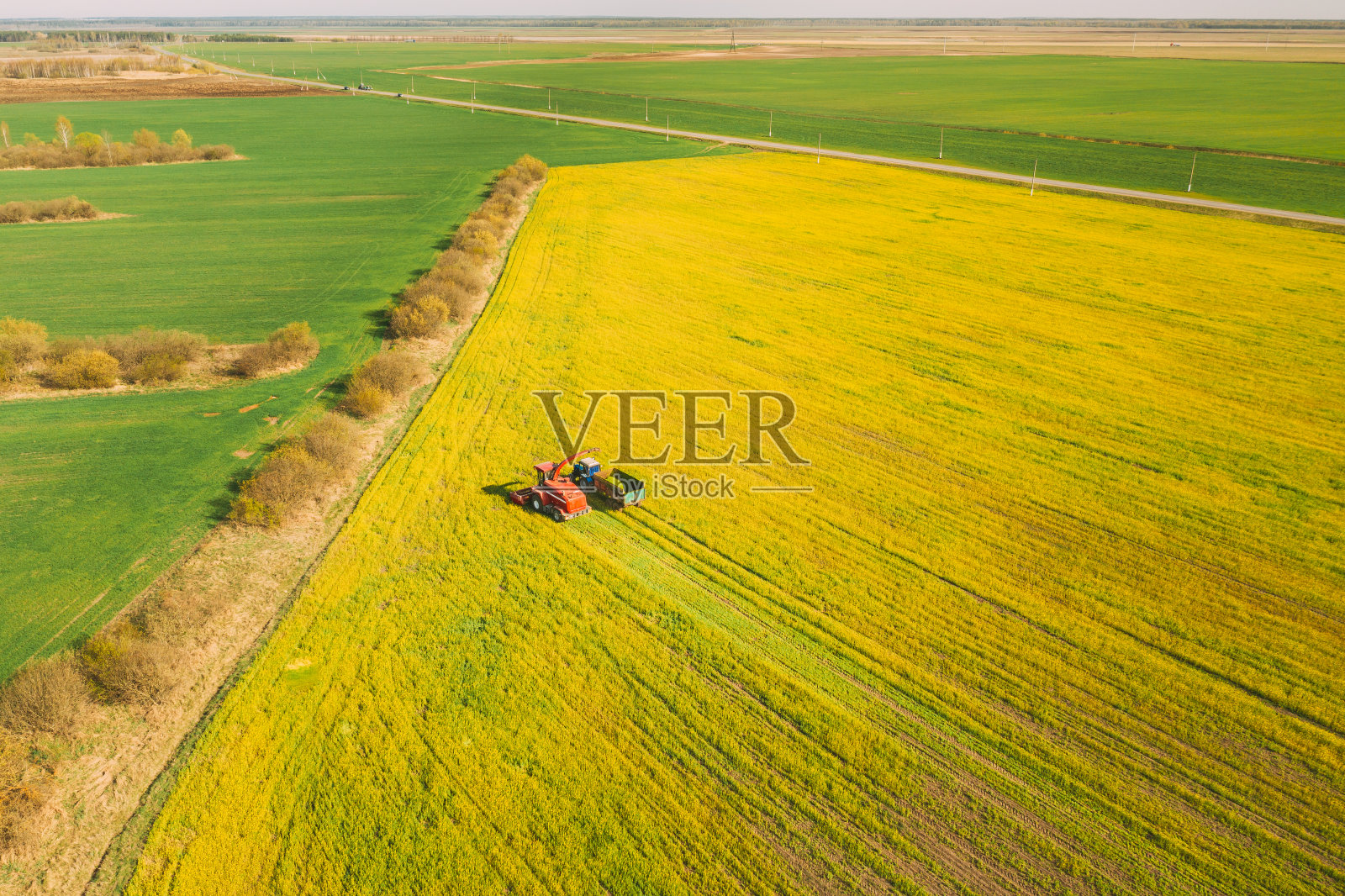 鸟瞰图的乡村景观。联合收割机和拖拉机一起在地里工作。春季油籽收获。收集开花油菜籽的农业机械。高架视图照片摄影图片