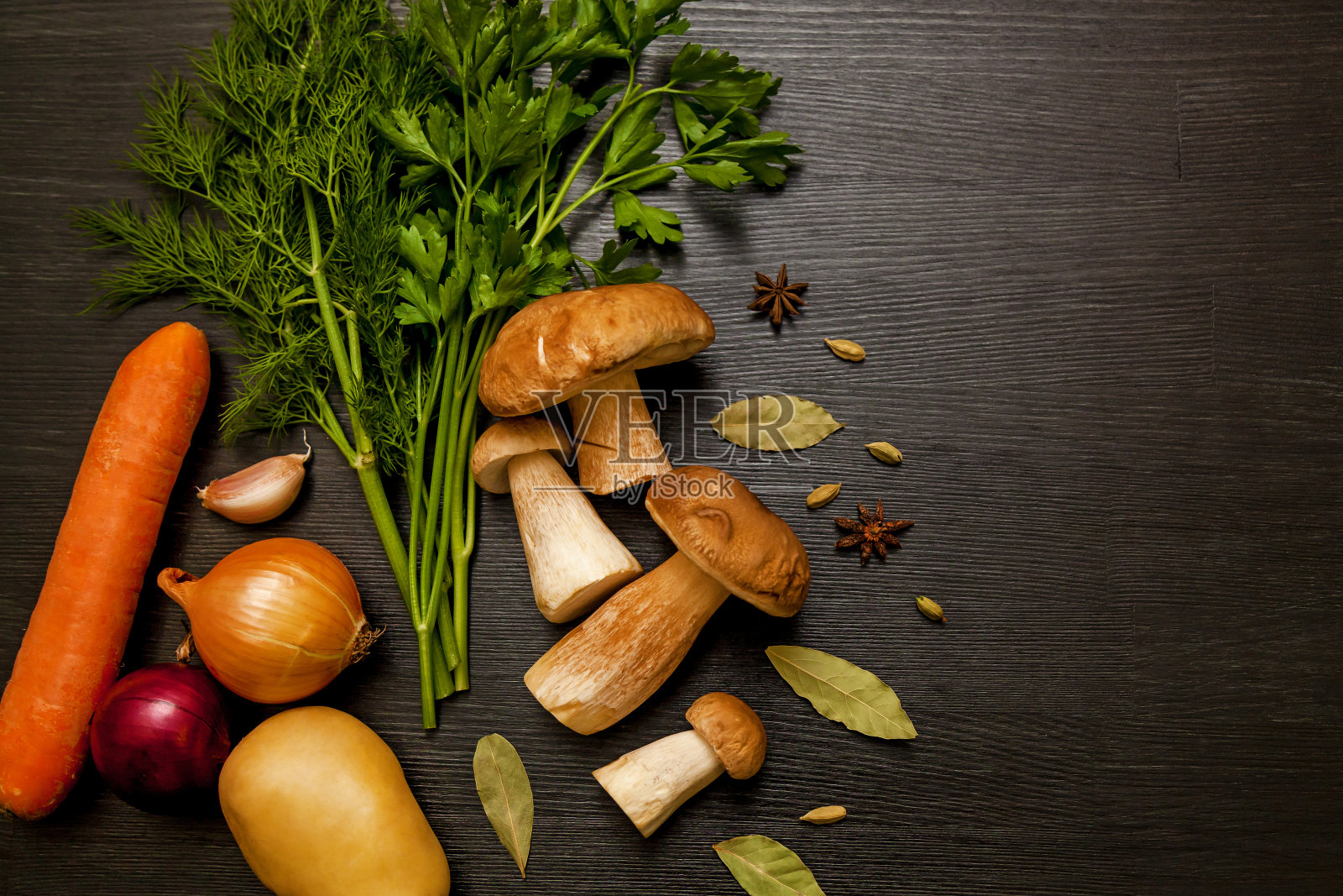 白色的森林蘑菇照片摄影图片