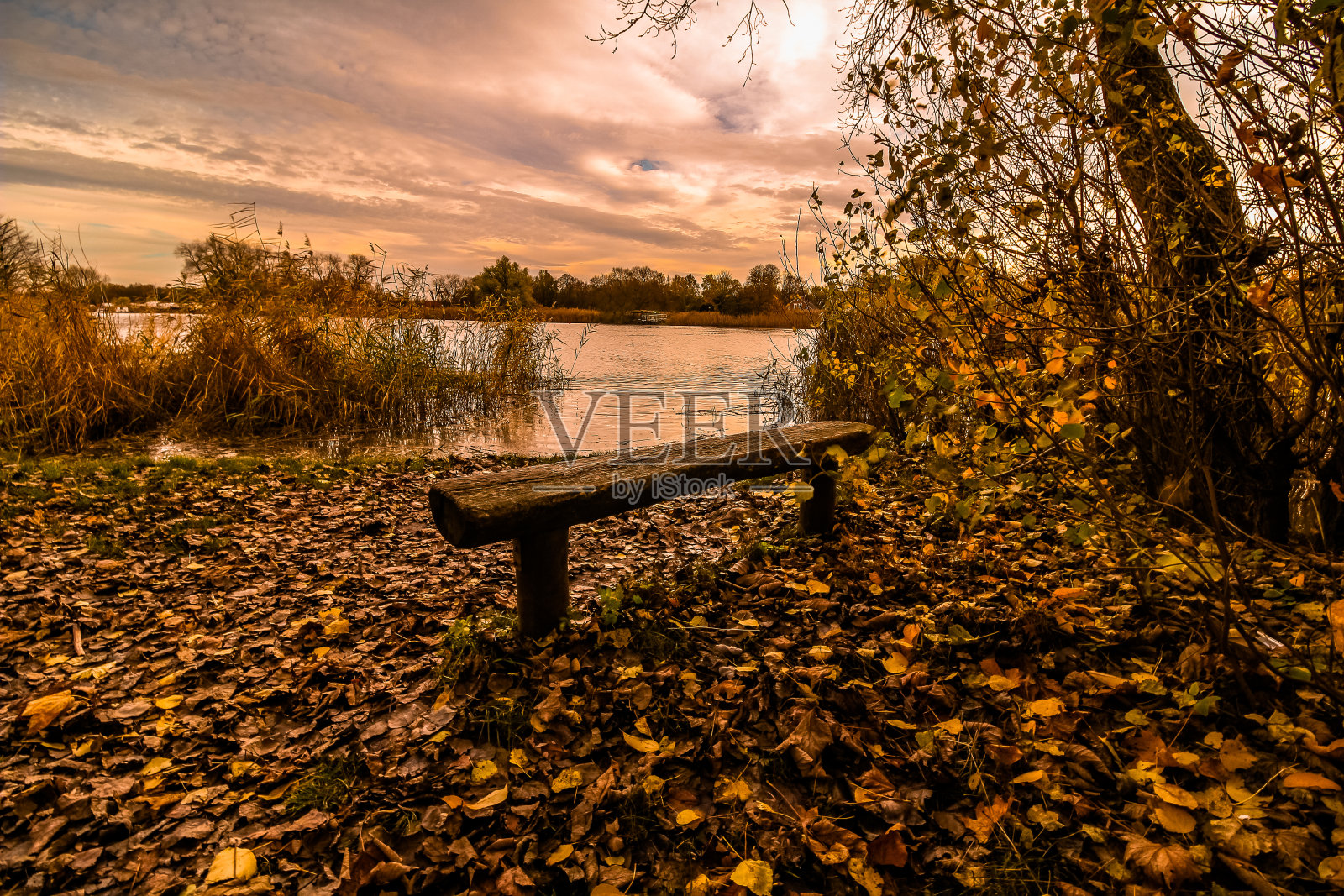 河边的一条旧长凳照片摄影图片