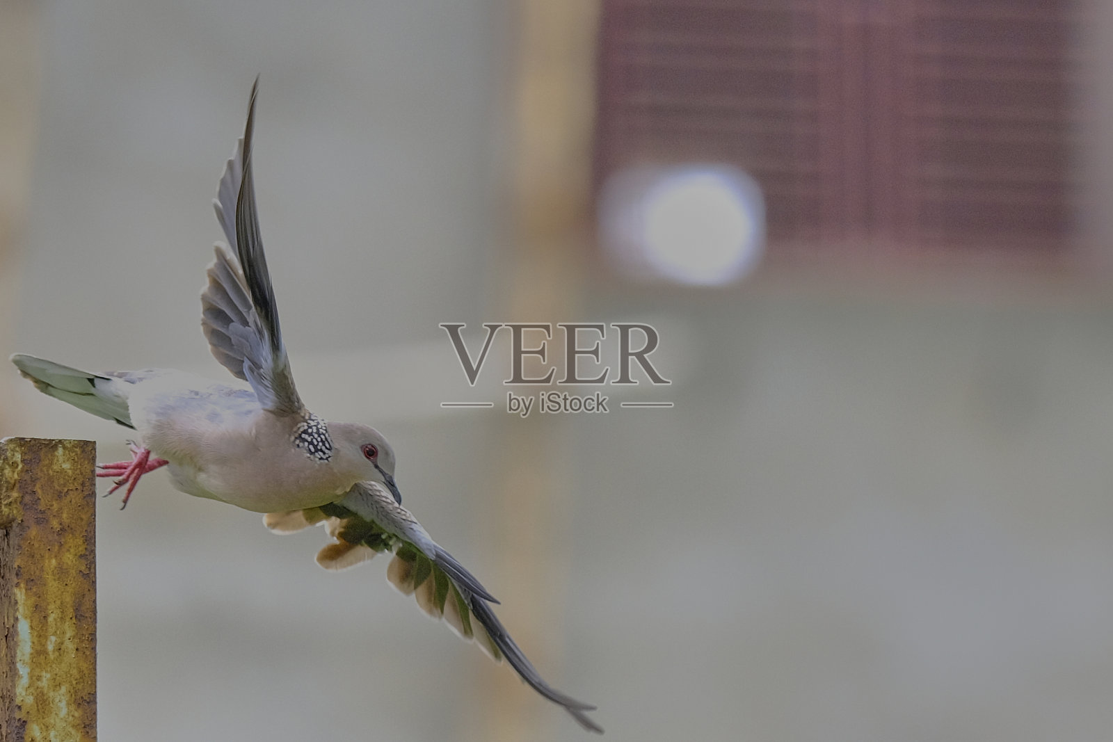 纪录片在那里照片摄影图片