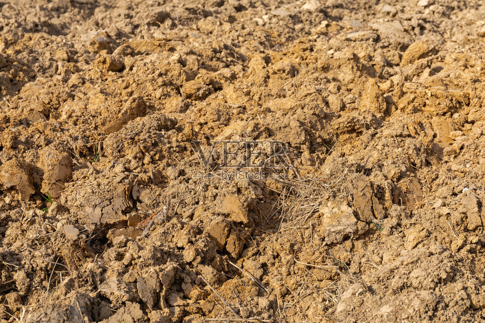 土土照片摄影图片