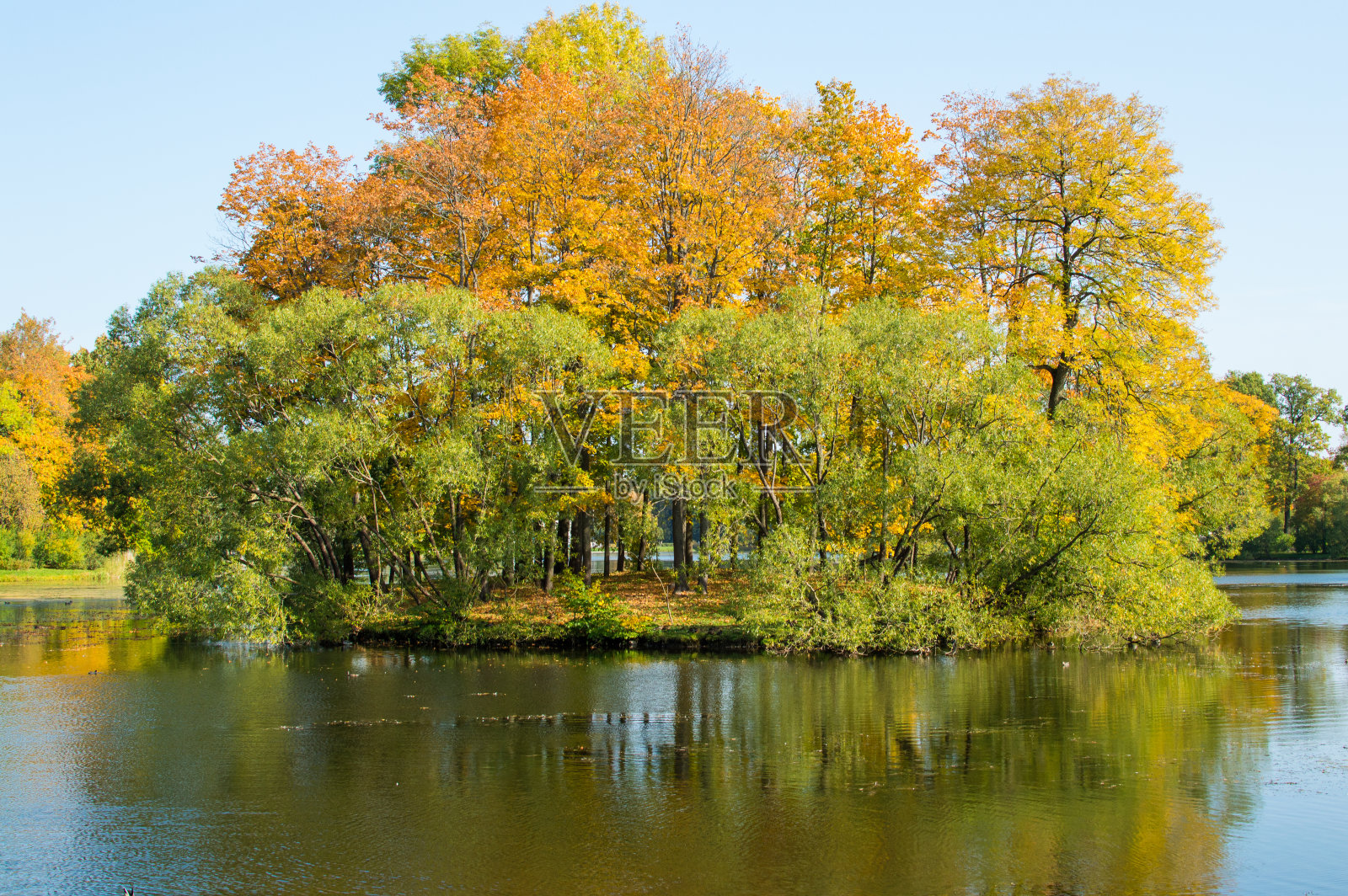 秋天的森林在公园的蓝色的湖反射照片摄影图片