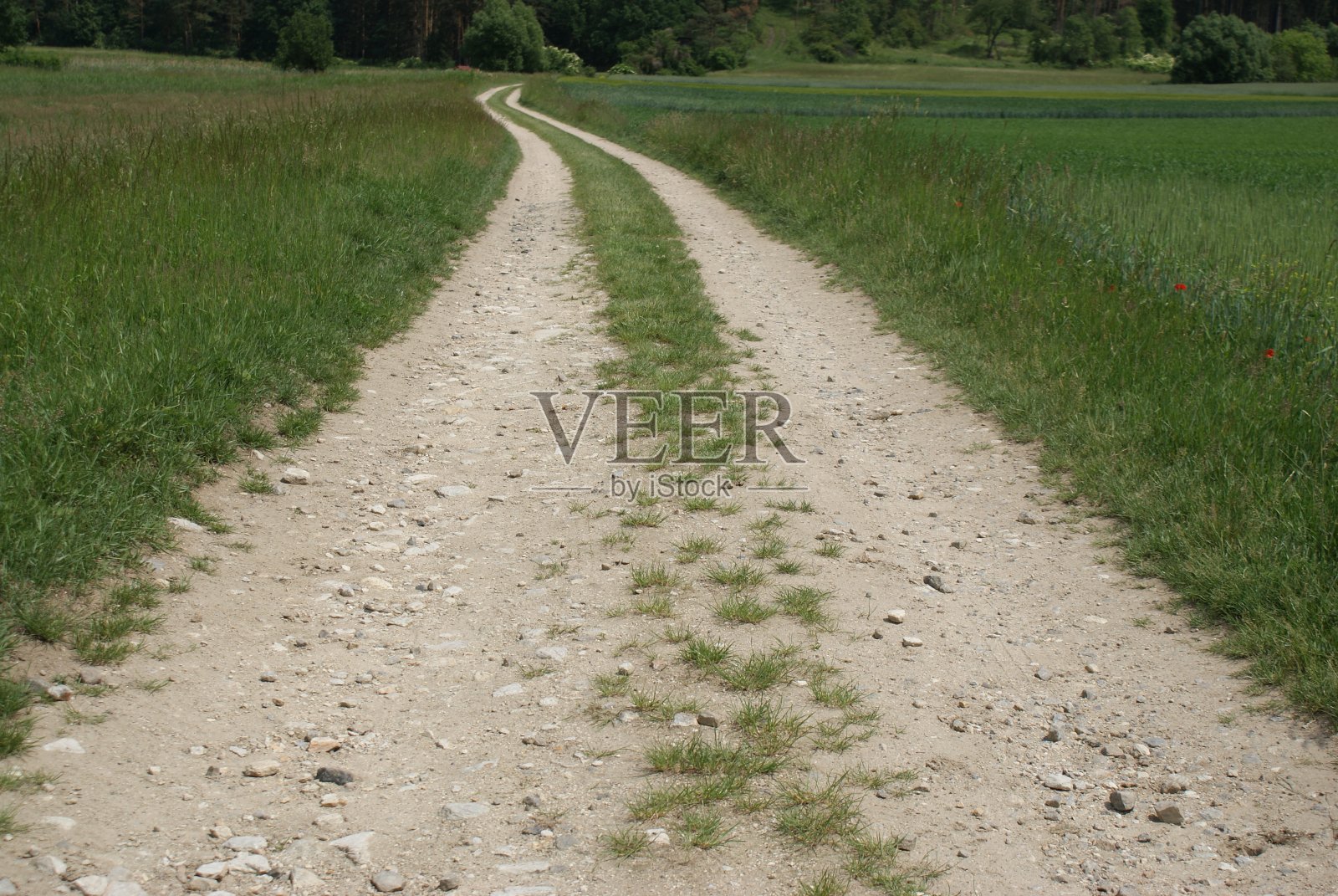沿着草地的土路照片摄影图片