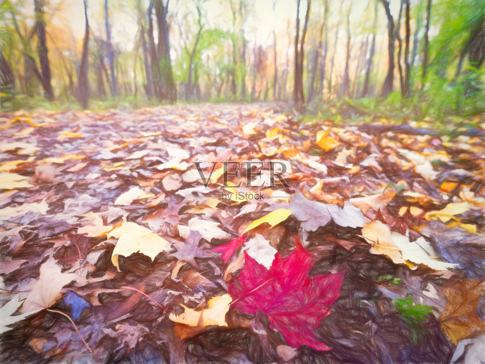 Ojibway公园秋天-温莎，安大略照片摄影图片