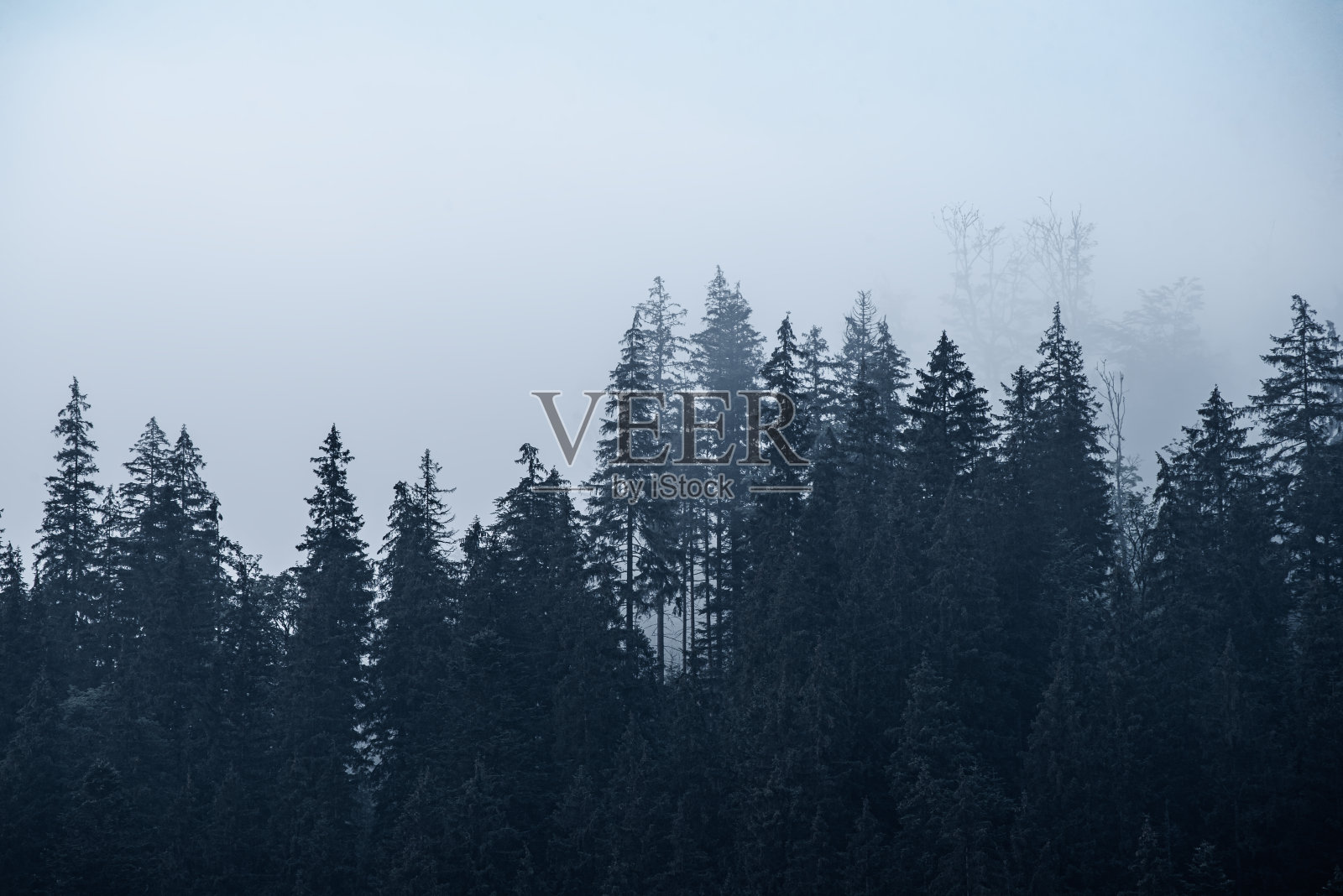 雾山景观照片摄影图片