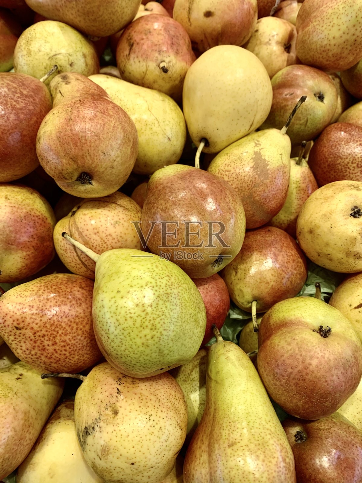 红梨照片摄影图片