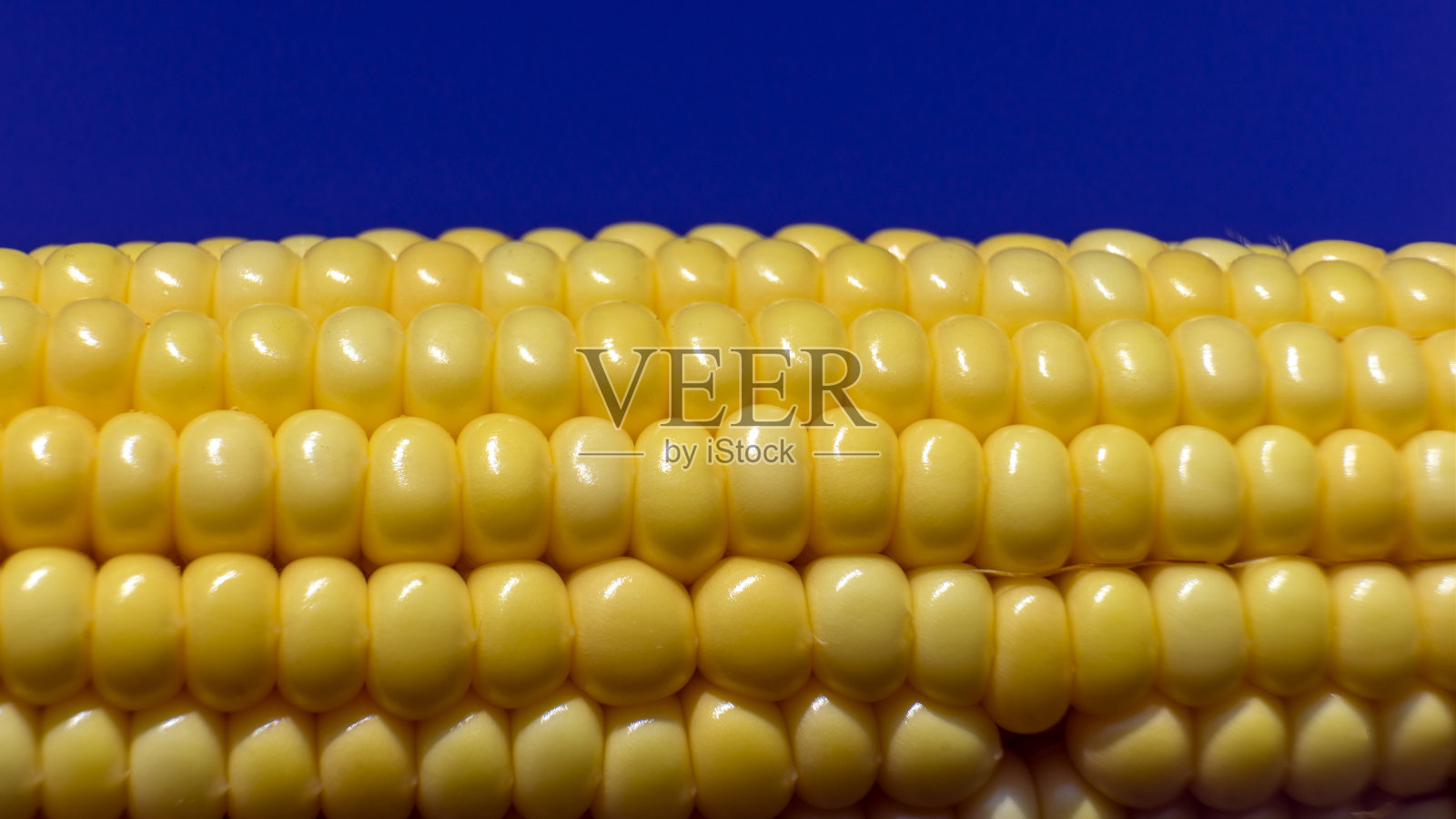 蓝天下的玉米穗特写照片摄影图片