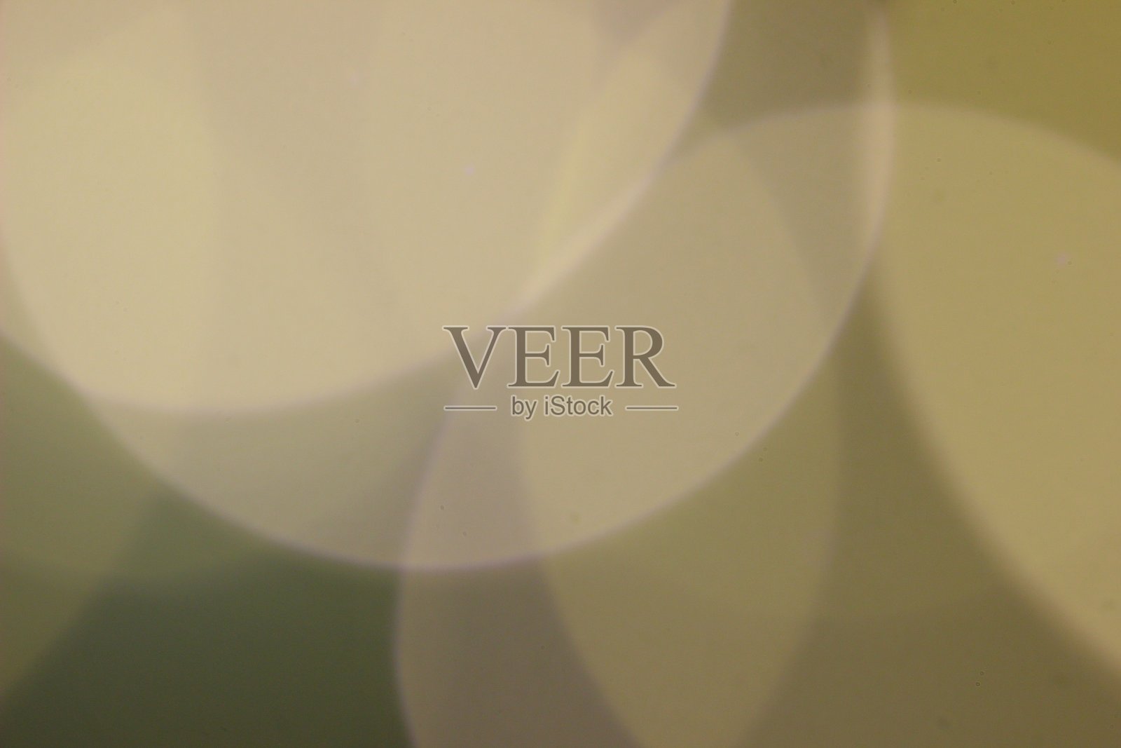 乌贼墨色的焦外成像圈照片摄影图片