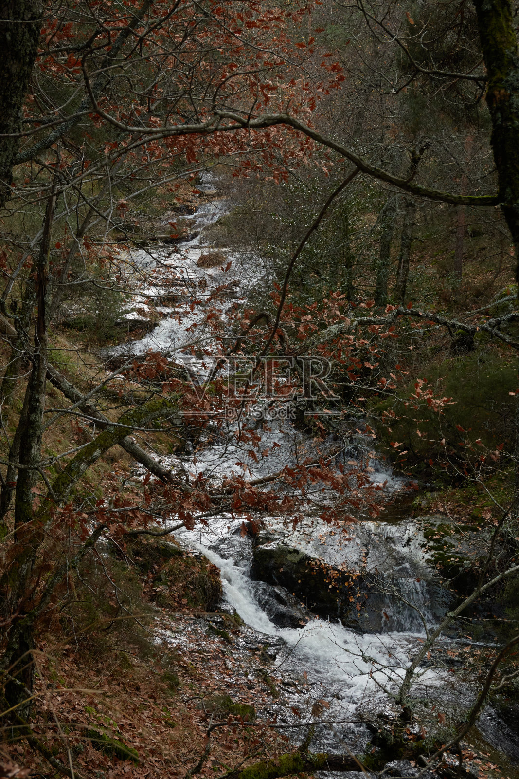在Sestil de Maíllo河河床的小瀑布。瓜达拉玛山脉国家公园的秋天。马德里的社区。西班牙照片摄影图片