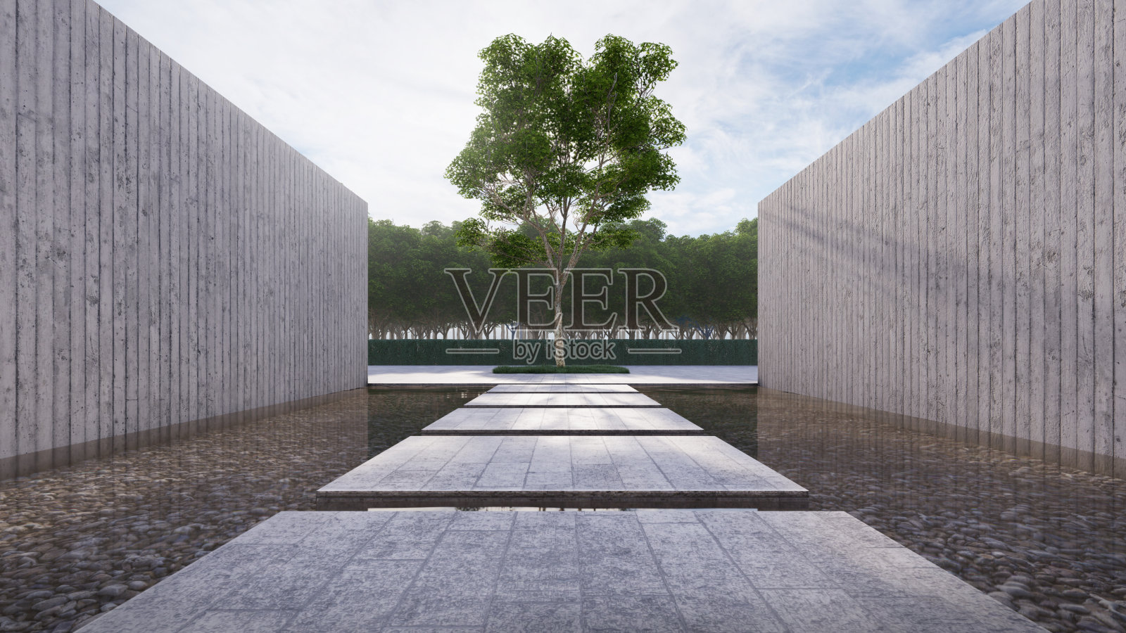 混凝土栈道漂浮在池塘上，旁边有混凝土墙，背景以主要的大树为中心。三维演示照片摄影图片