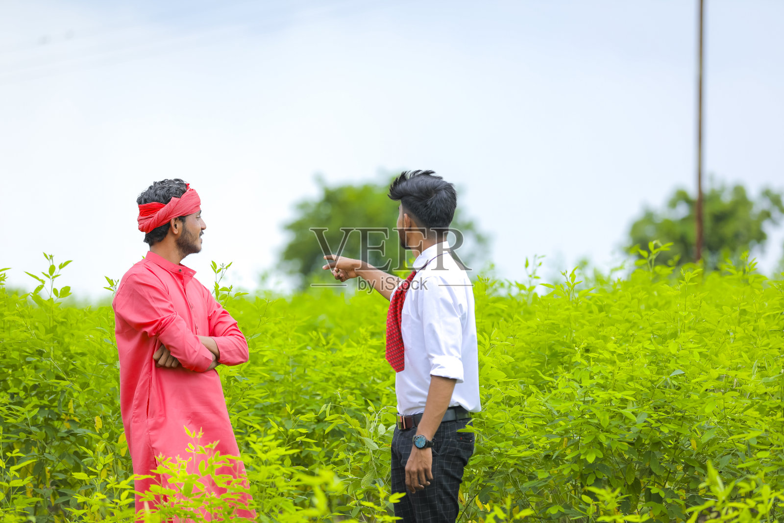 年轻的农学家与农民在绿地上讨论照片摄影图片