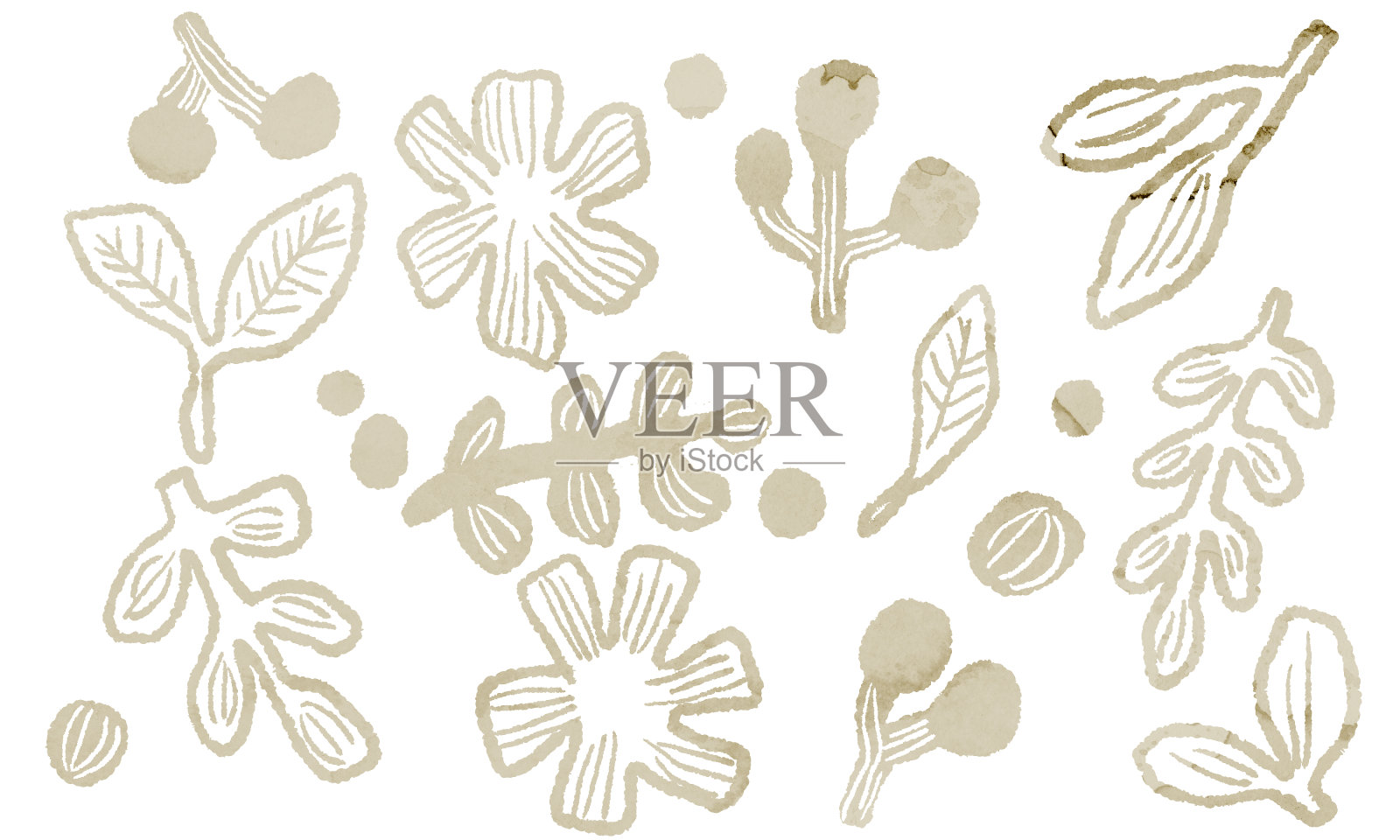 植物载体插图背景插画图片素材