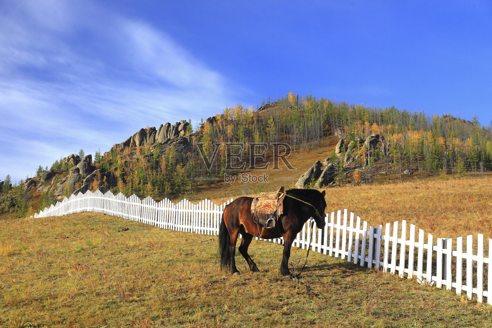 旅行在蒙古照片摄影图片