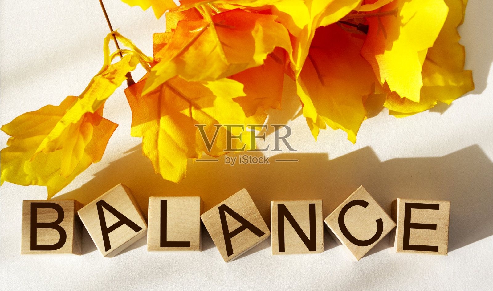 文本平衡概念的木制立方体孤立在白色背景和树叶的背景。照片摄影图片