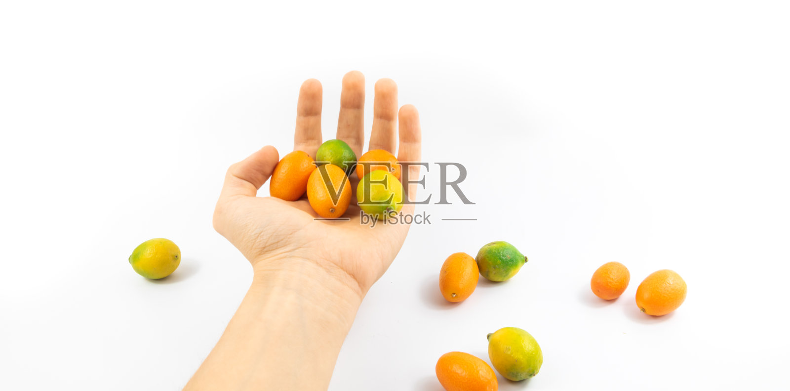 在白色孤立的背景上，小柑橘橙和金橘在手照片摄影图片