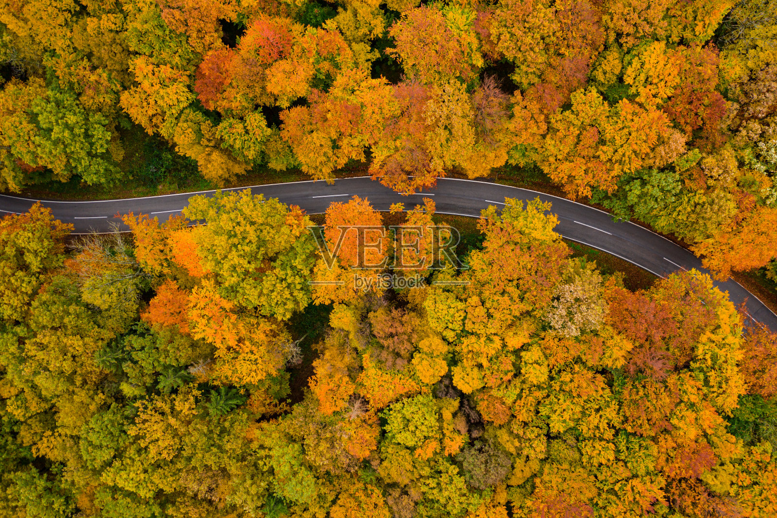 无人机从上方直接观看乡村道路穿过五彩缤纷的森林在秋天照片摄影图片