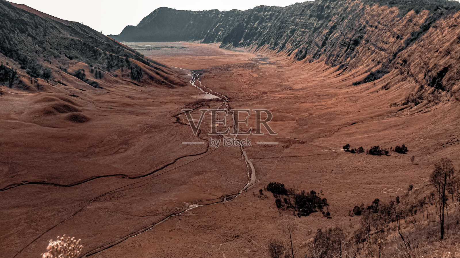 黄金ombo照片摄影图片