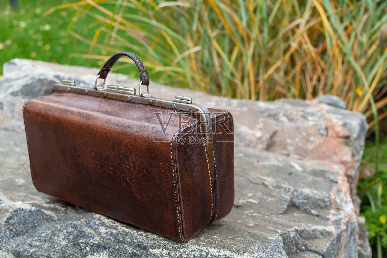 皮包站在石头上照片摄影图片