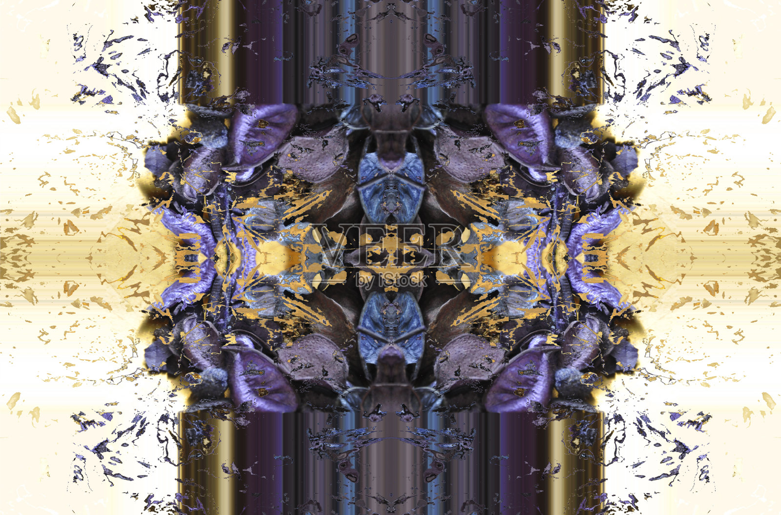 金色和紫色的植物插图照片摄影图片