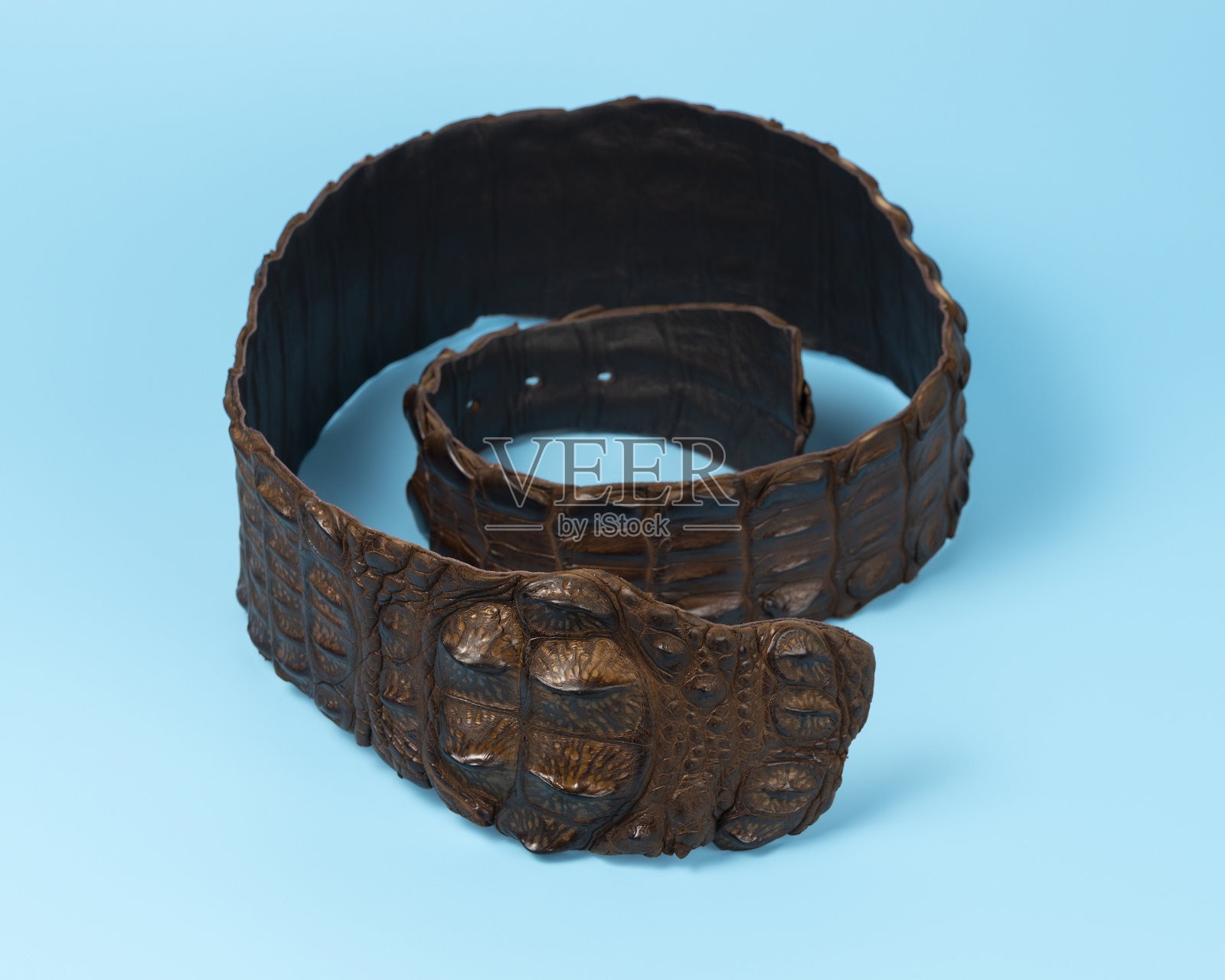 鳄鱼皮皮带上的蓝色背景。最小的时尚概念。照片摄影图片