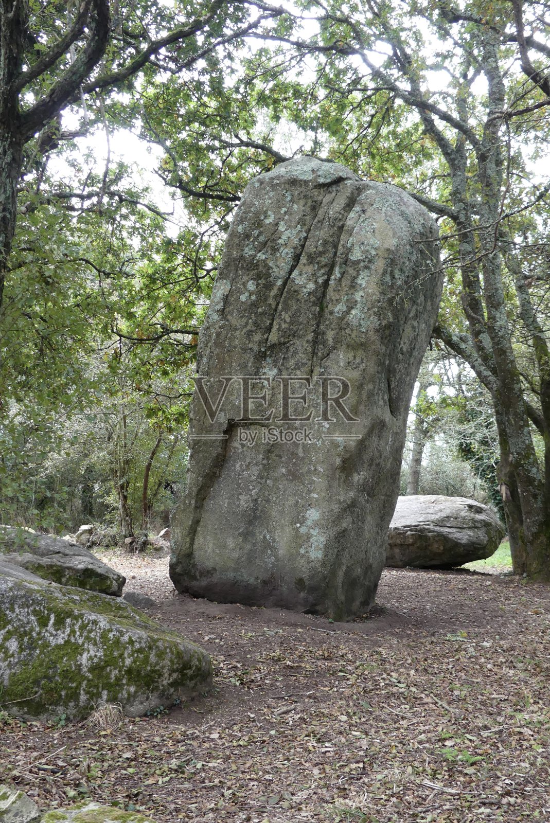 Menhir在草地上照片摄影图片