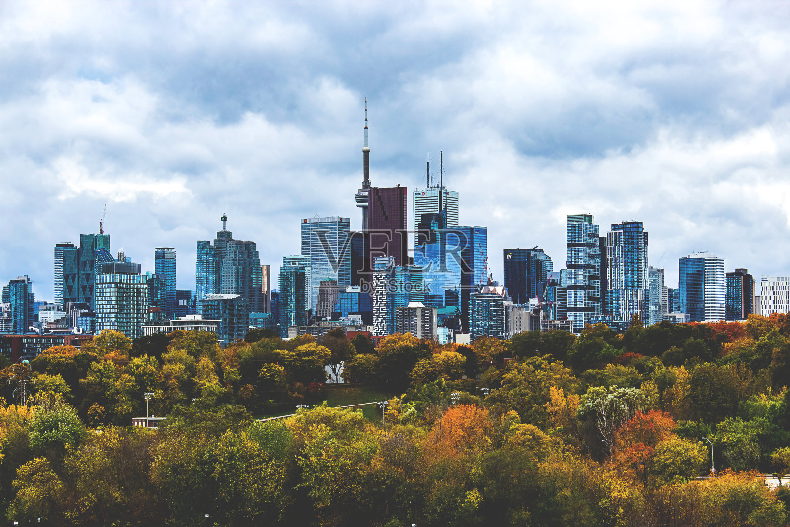 多伦多照片摄影图片