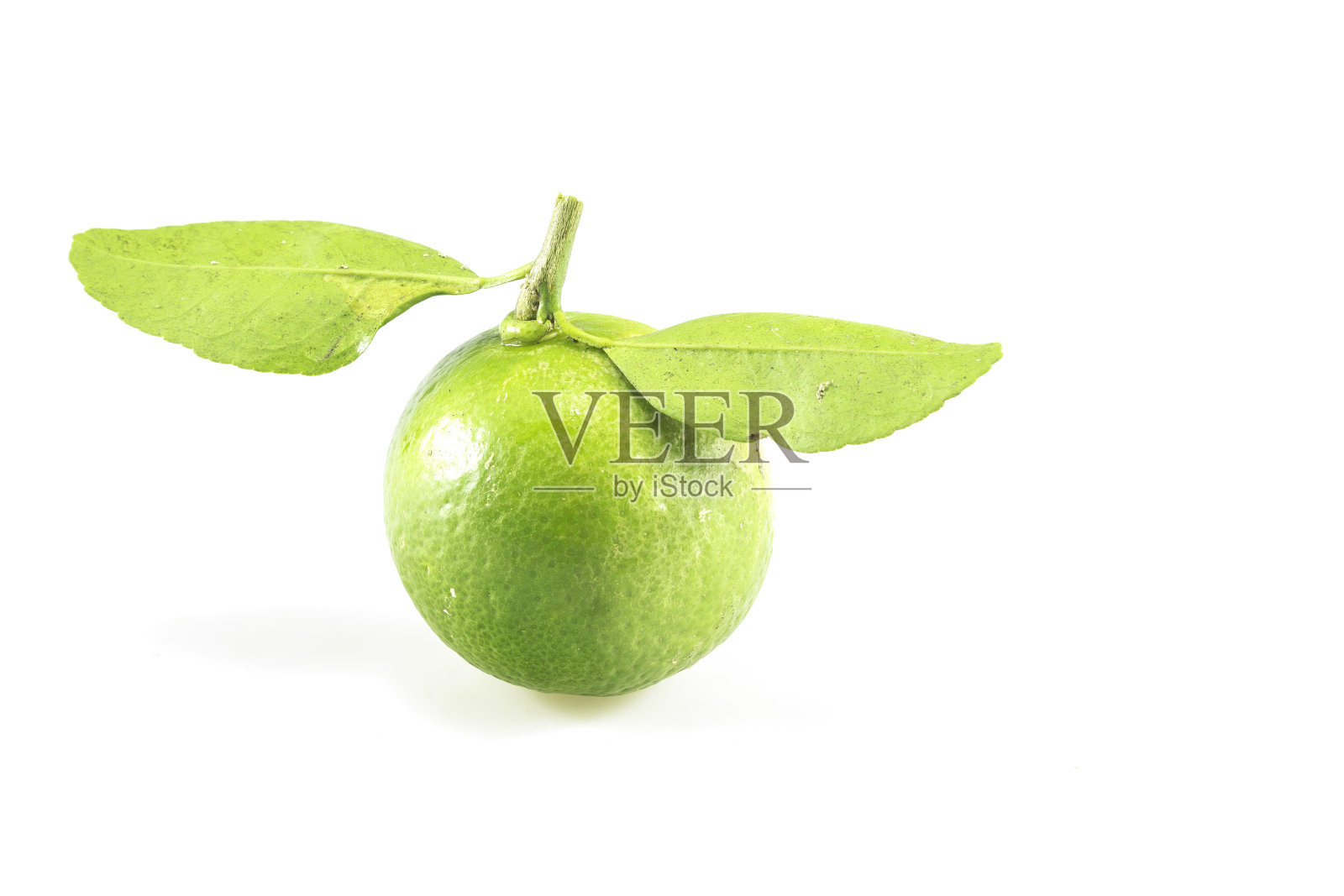 石灰绿照片摄影图片