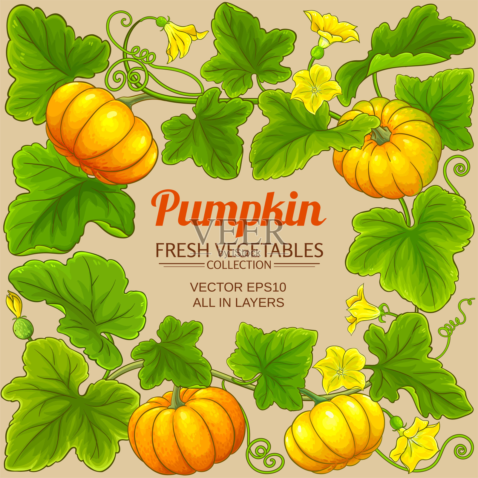 南瓜矢量架插画图片素材