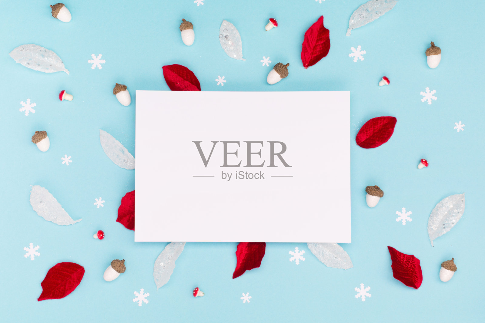 圣诞卡片-圣诞红花一品红，银饰，蘑菇，橡子在蓝色的纸背景。照片摄影图片