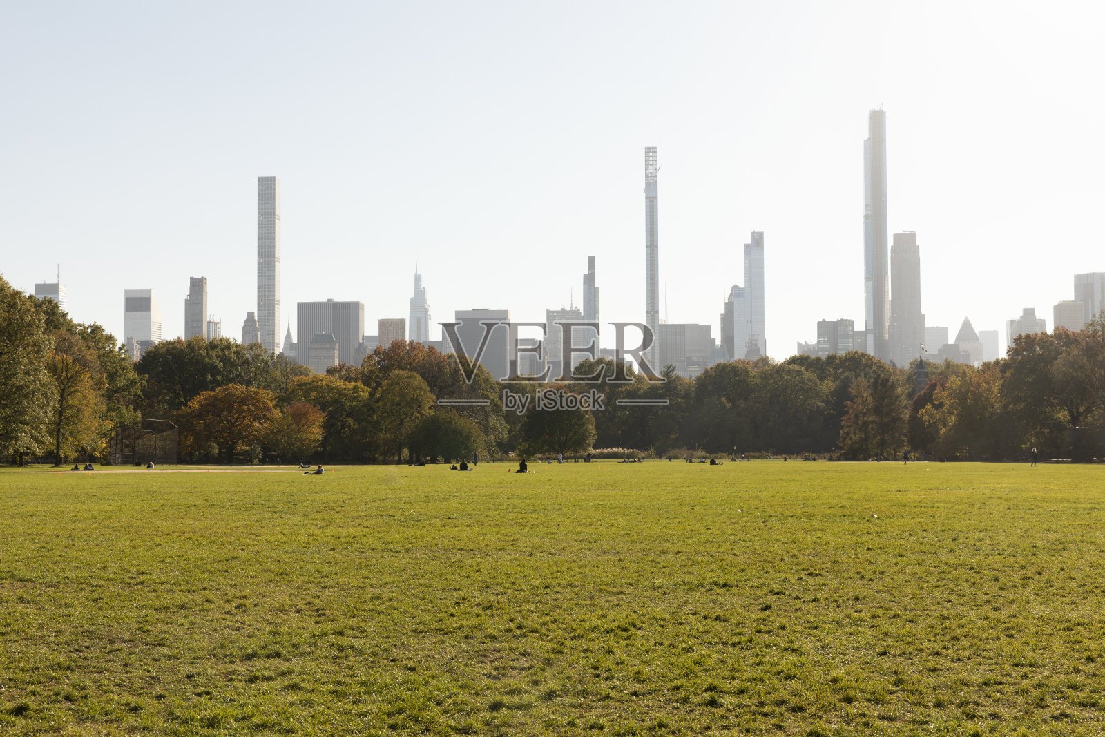 中央公园大草坪照片摄影图片