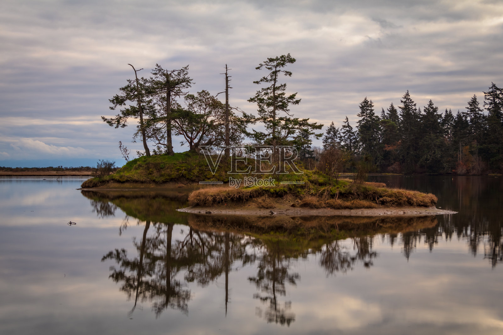 惠蒂斯泻湖区域公园岸边的倒影照片摄影图片
