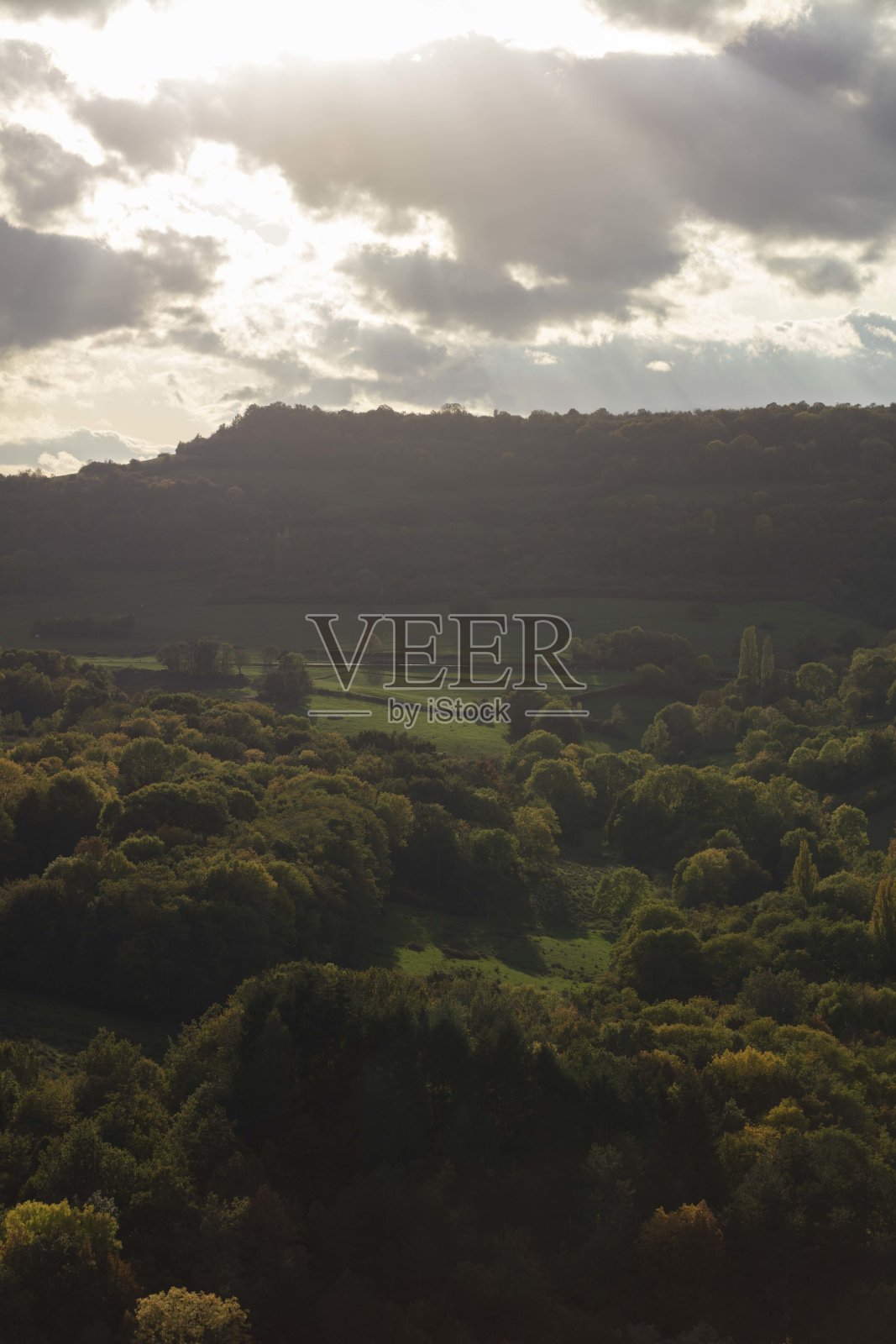 勃艮第照片摄影图片