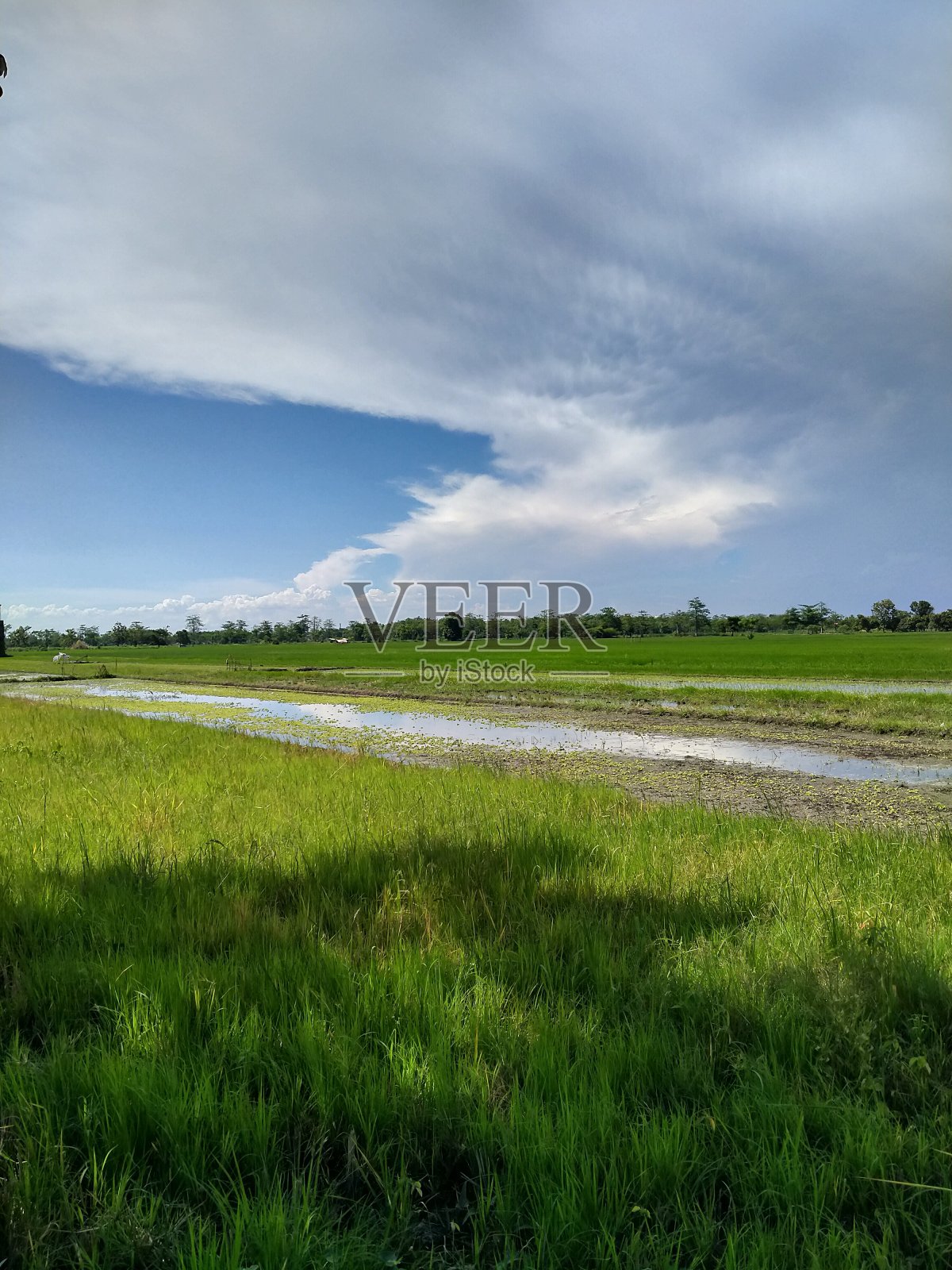 白云照片摄影图片