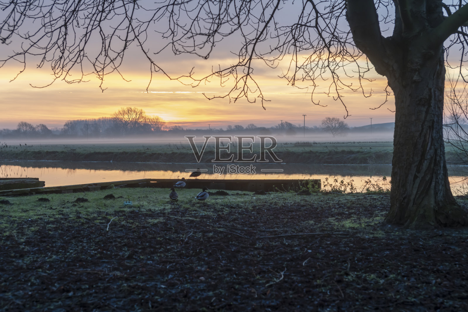 日出时的大河照片摄影图片