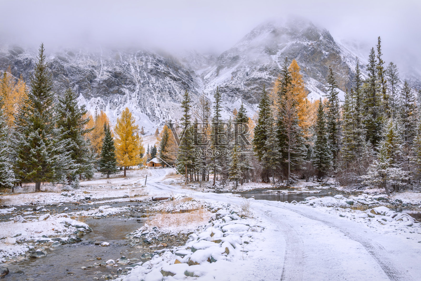 山路雪，秋林树照片摄影图片