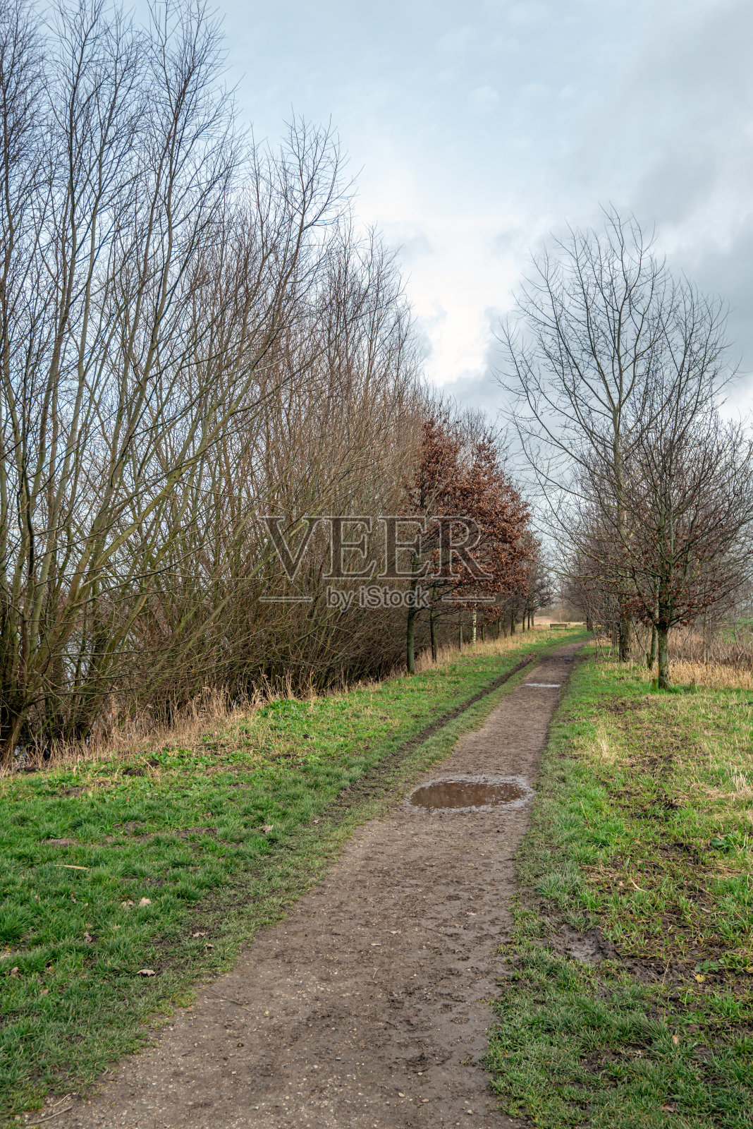 秋天，荷兰公园里狭窄的人行道照片摄影图片