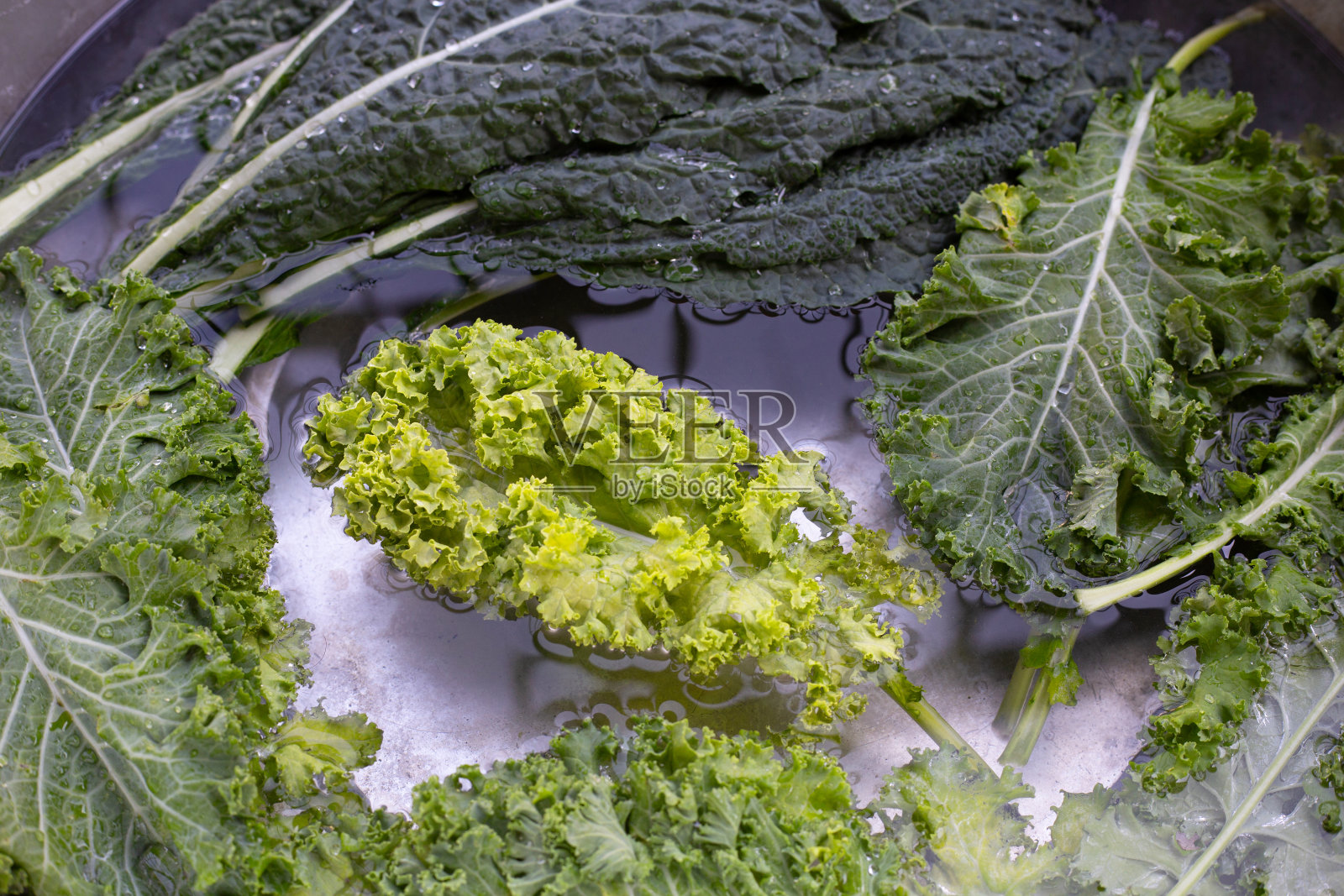 新鲜的羽衣甘蓝叶浸泡在一碗白水里照片摄影图片