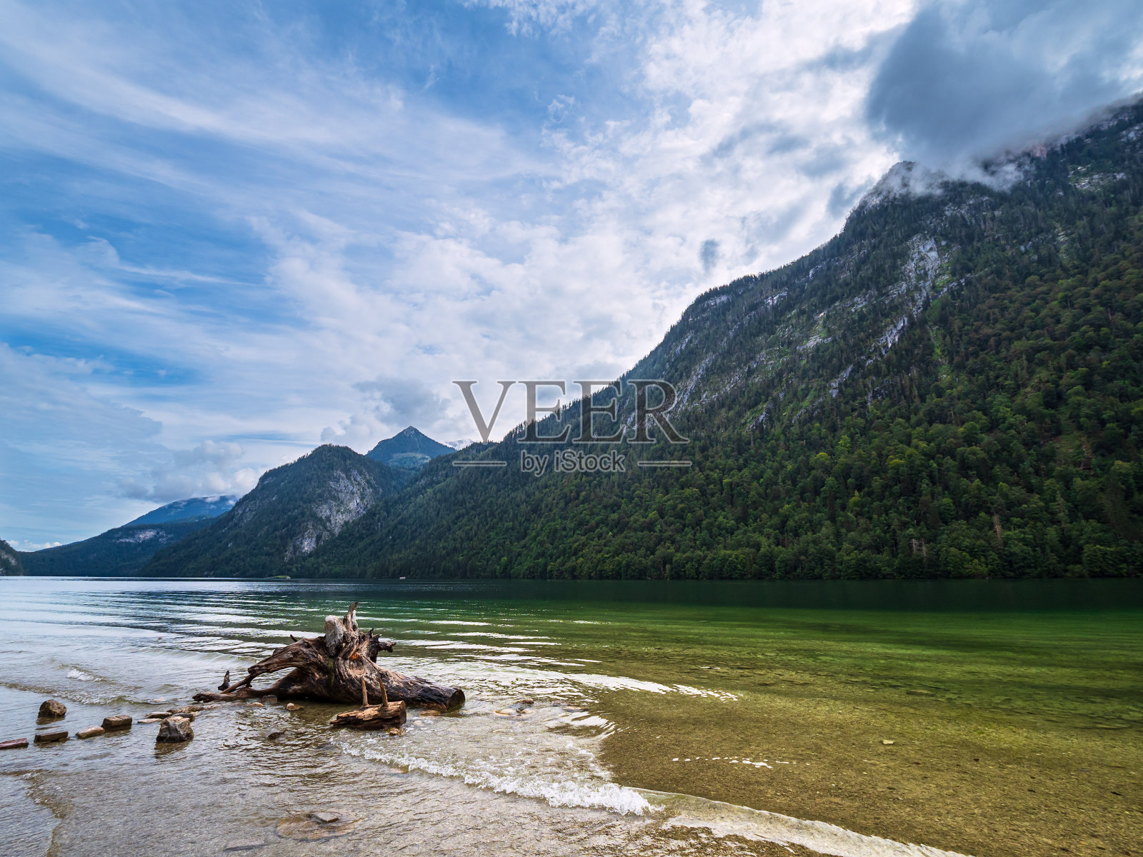 德国阿尔卑斯山贝希特斯加登的科尼西湖，岩石和树干照片摄影图片