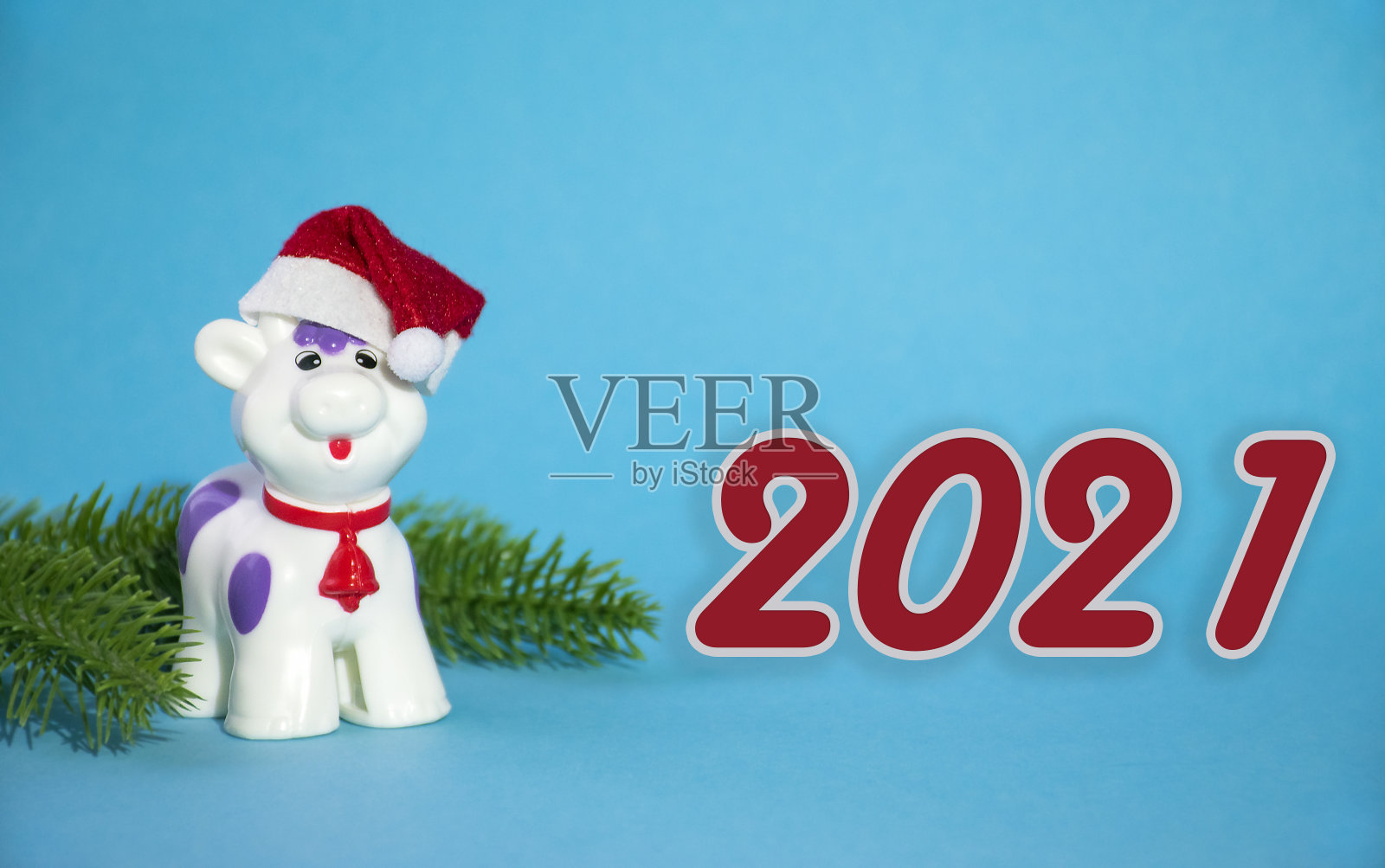 圣诞节的牛照片摄影图片