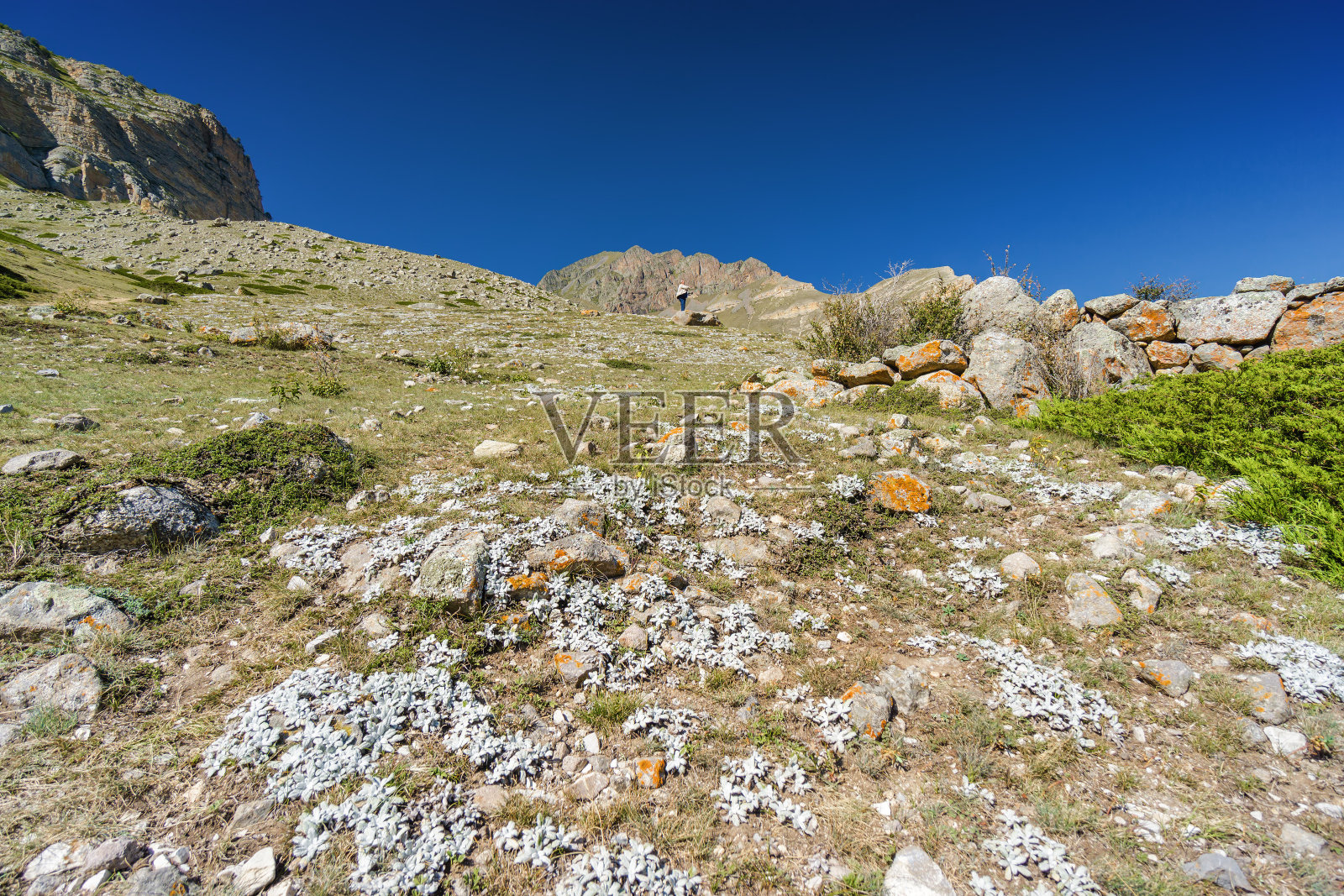 阳光明媚的山脉和Eltyulbyu村在北高加索，卡巴尔蒂诺-巴尔卡里亚，俄罗斯。照片摄影图片