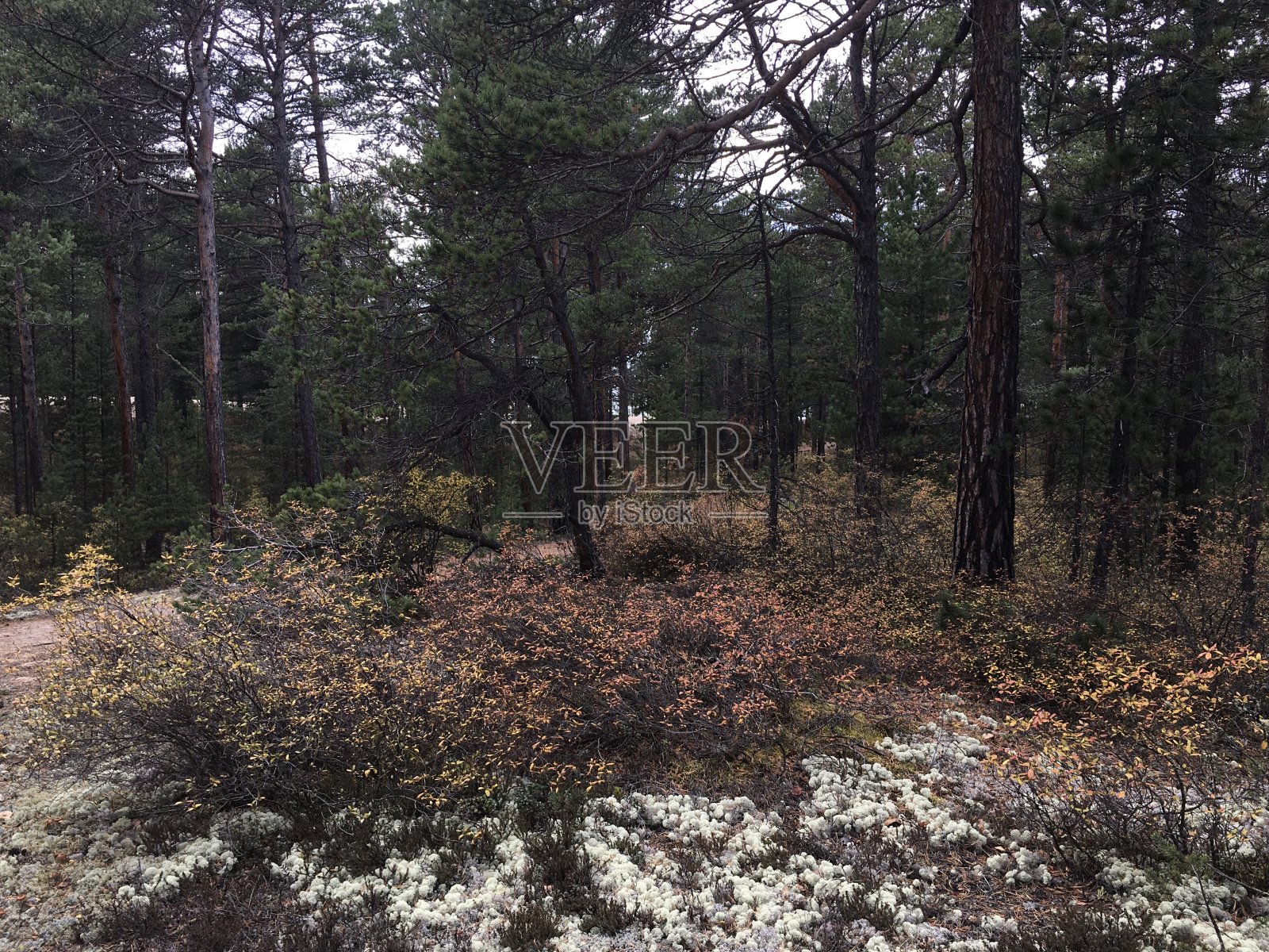 十月在俄罗斯西伯利亚的贝加尔湖。照片摄影图片