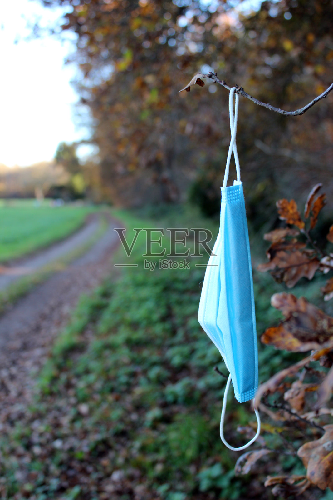 蓝色一次性口罩挂在森林边缘的树枝上照片摄影图片