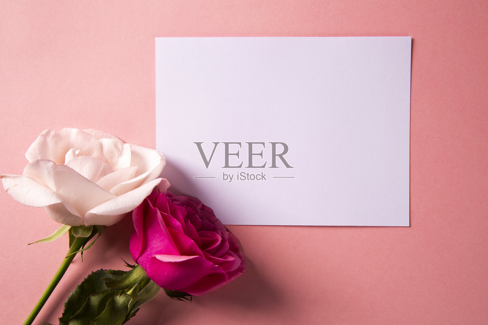 红玫瑰和情人节贺卡的玫瑰背景。顶部视图与复制空间。照片摄影图片