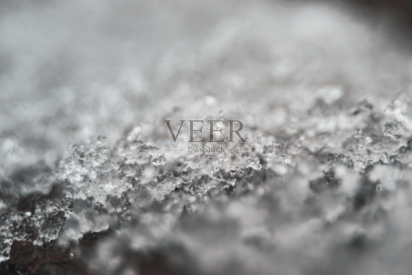 宏观照片照片摄影图片