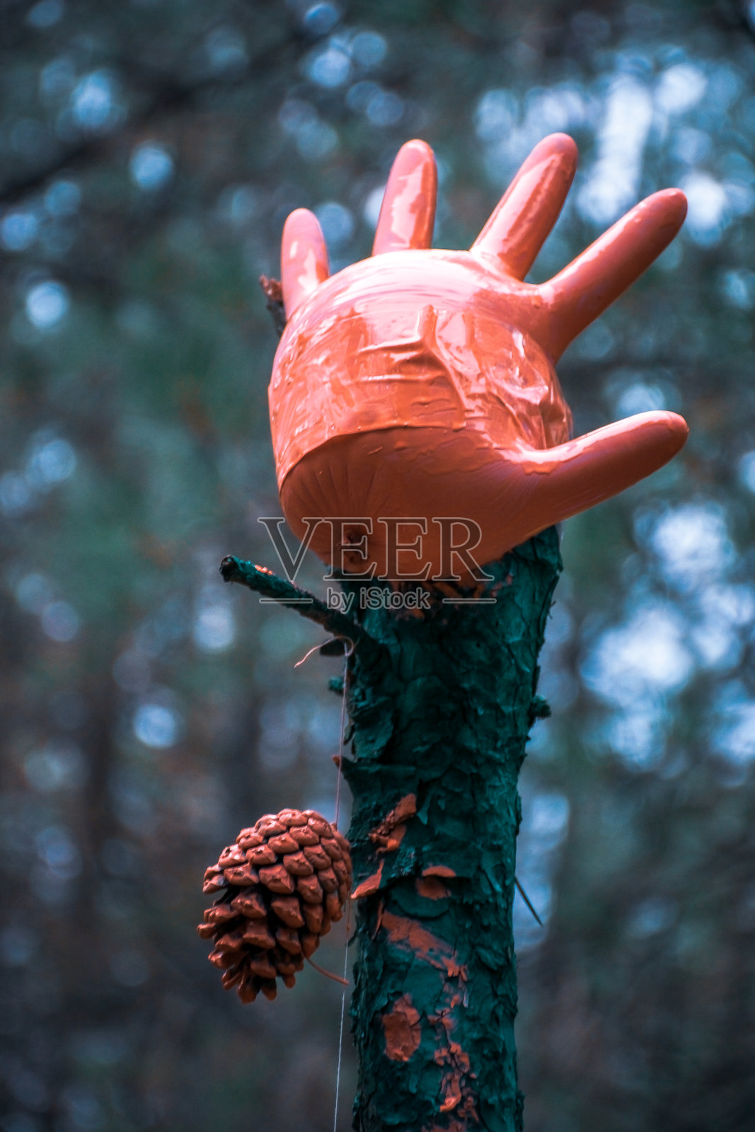 大自然美妙的照片照片摄影图片