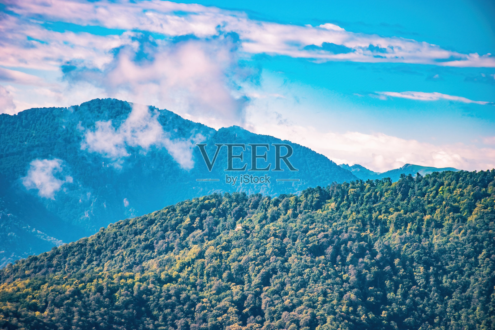 奇妙的大自然的照片照片摄影图片