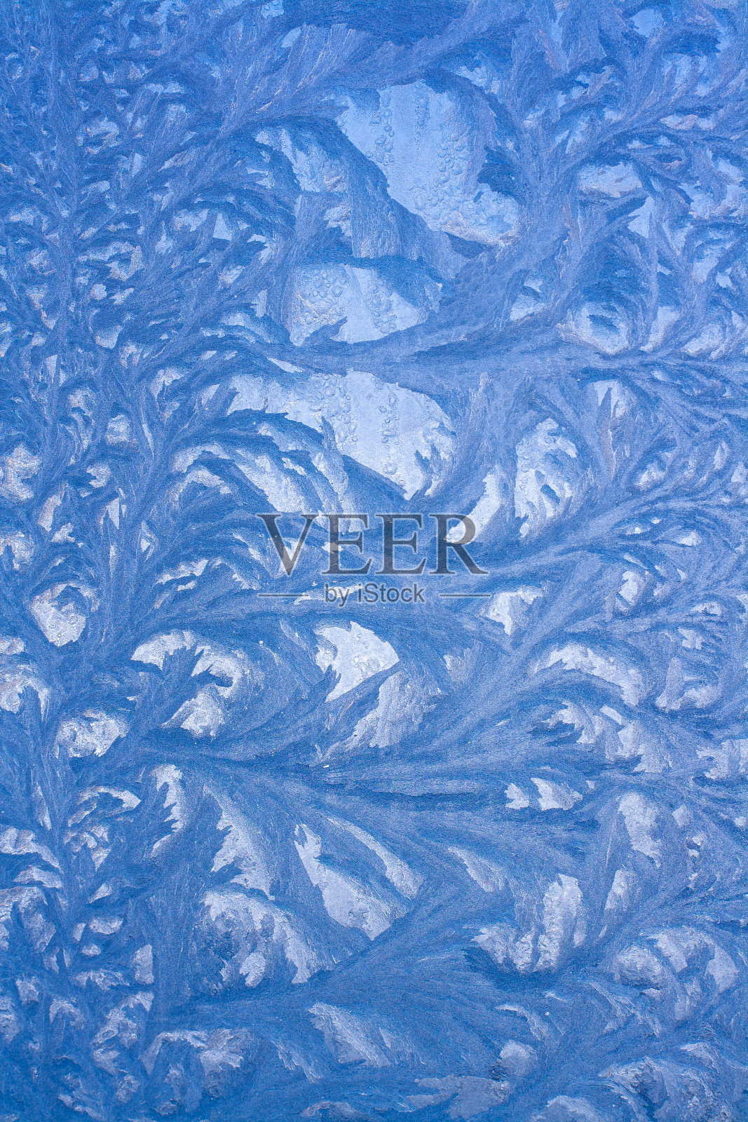 玻璃上的冰图案。冻结的窗户上的一幅美丽的画。垂直的。照片摄影图片